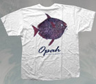 Fish T-Shirts